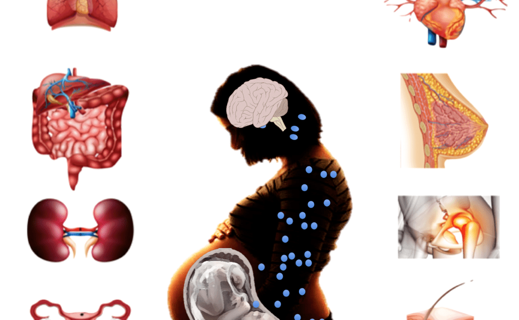 Ayuda a conocer cómo el embarazo y la maternidad cambian el cerebro de la mujer: te invitamos a participar en un estudio (Barcelona y Madrid)